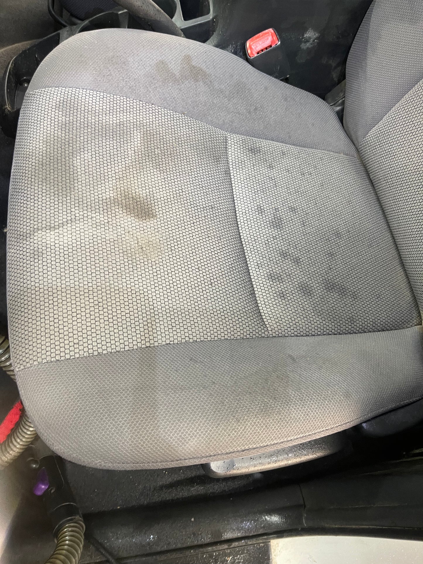 Seat & Carpet Stain Removal